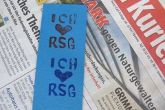Ganztagsfest RSG 16-07.06 07