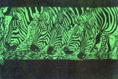 Zebras